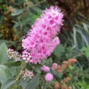 (주)하나하늘빛 이미지