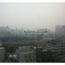 동광모닝공인중개사사무소 이미지