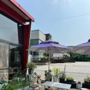 일동카센타 이미지