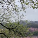 무릉도원 이미지