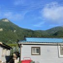 복인 민박 네이버블로그