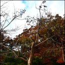 유가사 주차장(구) | 팔공총림 동화사-조계종 제9교구 본사