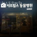 서초힐스 | 서초구 우면동 동물병원 서초힐스동물병원 위치 오는길 후기