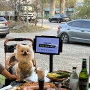 부뚜막솥뚜껑삼겹살 | 남양주 화도 마석 맛집 야장 야외 고기집 부뚜막 솥뚜껑 생삼겹살 애견동반