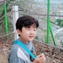 양천근린공원 키지트 네이버블로그