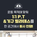 선샤인핏 이미지