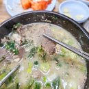 용인 기흥 맛집 농서리순대국 내돈내산 후기