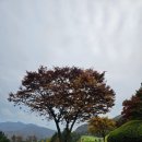 필로스골프연습장 이미지