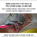 대영종합주방 이미지