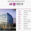 세종시드니 이미지