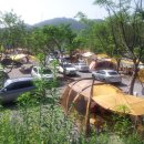 별빛 오토 캠핑장 이미지