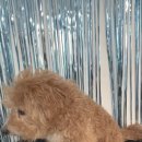 그루밍솔루션 구로점 이미지