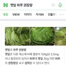 깻잎 하루 권장량 (+추가)충격주의 이미지