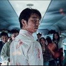 신비돌스 랙돌 캐터리 이미지