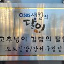 오토김밥강서 이미지