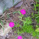 홍천산골놀이터 이미지