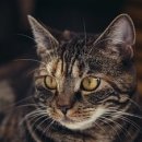 만월산배수지체육광장 이미지