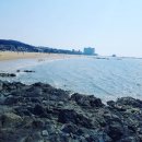 장충동할매왕족발 이미지