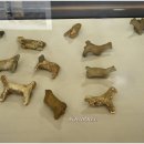 순천대학교박물관 이미지