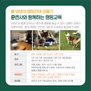 멍그라운드 이미지