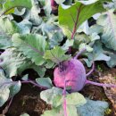 현선농장 이미지