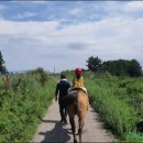 오케이승마장 이미지