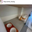 헤이커멍 이미지