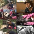 어미들 농장 이미지