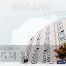 고려대 식품자원 경제학과 VS 서강대 경영&경제학과 VS 성균관대 글로벌 경영&경제학과 이미지