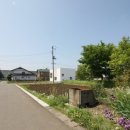 조은하루 이미지