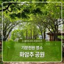물꽃공원 다목적구장 | 울산 동구에 힐링할 수 있는 기분전환 명소, 가볍게 방문하기 좋은 화암추 공원 방문후기