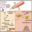 최재영한의원 이미지