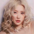 로제헤어 이미지
