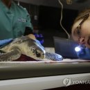 재산보건지소 이미지
