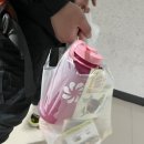 서울에서 부산까지 6일차 &lt;도담동-대전터미널&gt;