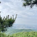 일헌농원 네이버블로그