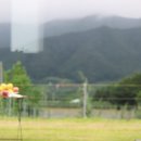 보르도애플스테이 이미지