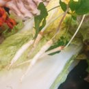 횡성조가네 이미지