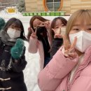 포토이즘컬러드 이미지