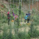 한민농장 이미지