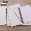 아람피앤디