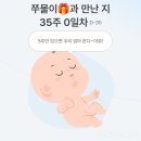 임신] 임신 33-37주차/임산부스트레칭/출산가방/산전마사지/빨래공장/시공매트/막달검사/막달붓기/양막파수