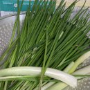 예스런한우하우스 이미지