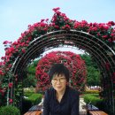 동창생식당 이미지