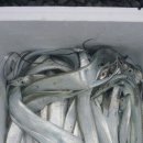삼정낚시터