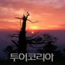 추억여행 이미지