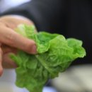 원조조방낙지인동점 이미지