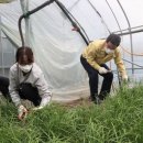 행정농장 이미지