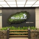 [제주도 3박 4일 여행 코스 추천] : 항공권, 숙소, 카페, 맛집, 관광지