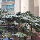 은혜치과의원 이미지